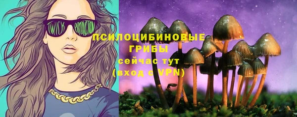 сатива Бронницы